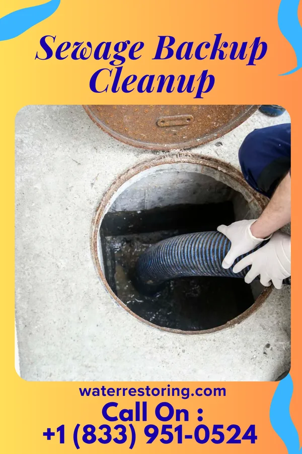 Sewage Backup Cleanup in Buhler, KS