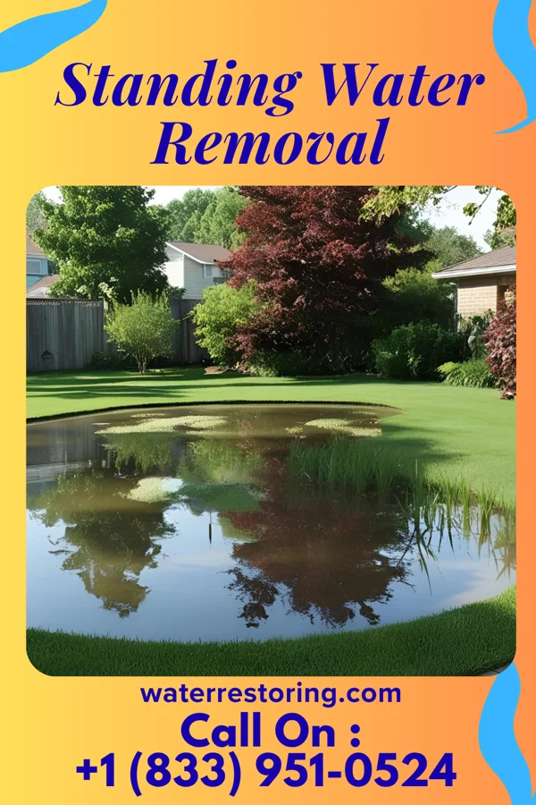 Standing Water Removal in Buhler, KS